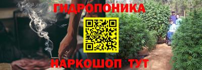 наркотики Кингисепп