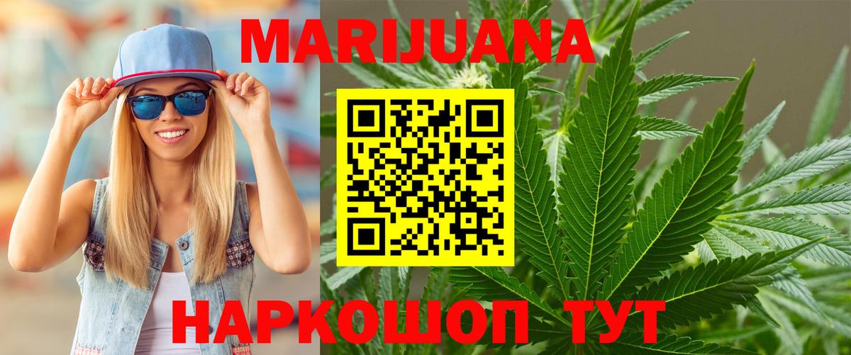 Каннабис сатива Фрязино